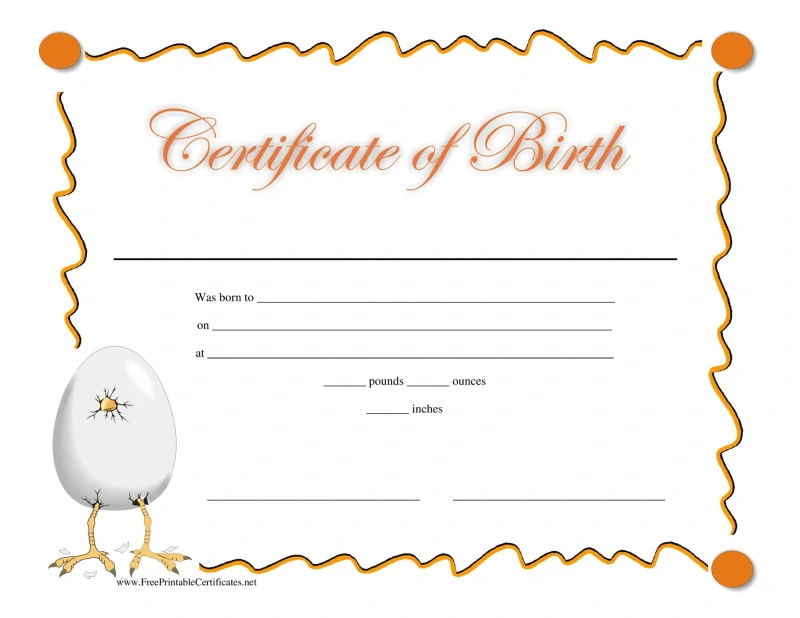 Certificate of birth clipart image
