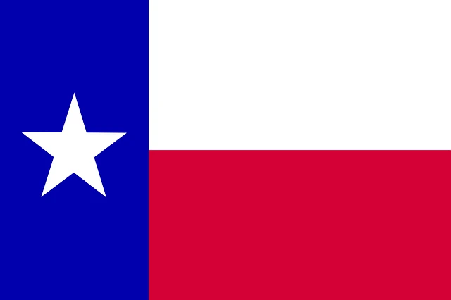Texas lonestar flag representing getting Texas Birth Certificate