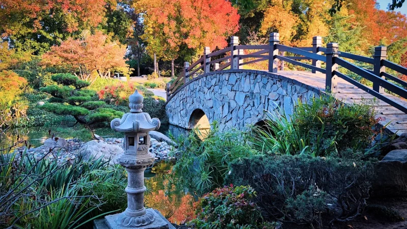 Shinzen Friendship Park, Fresno County, California